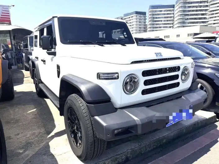 212 T01 2025 Model 2.0T Diesel Edition