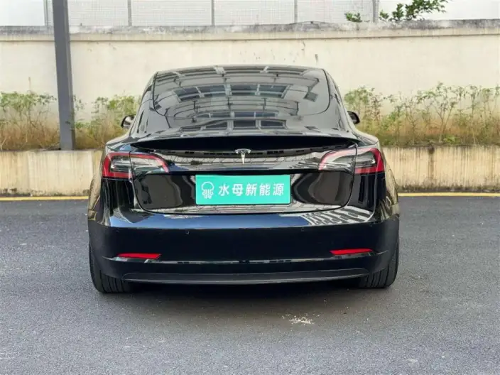Model 3 2022 Model Rear-wheel drive version – фото 5