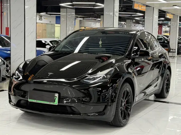 Model Y 2022 Model Facelift Rear-wheel drive version – фото 1