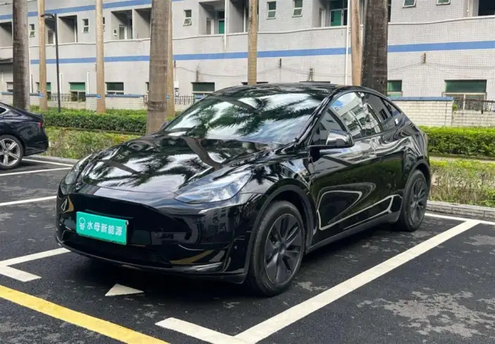 Model Y 2024 Model Rear-wheel drive version – фото 1