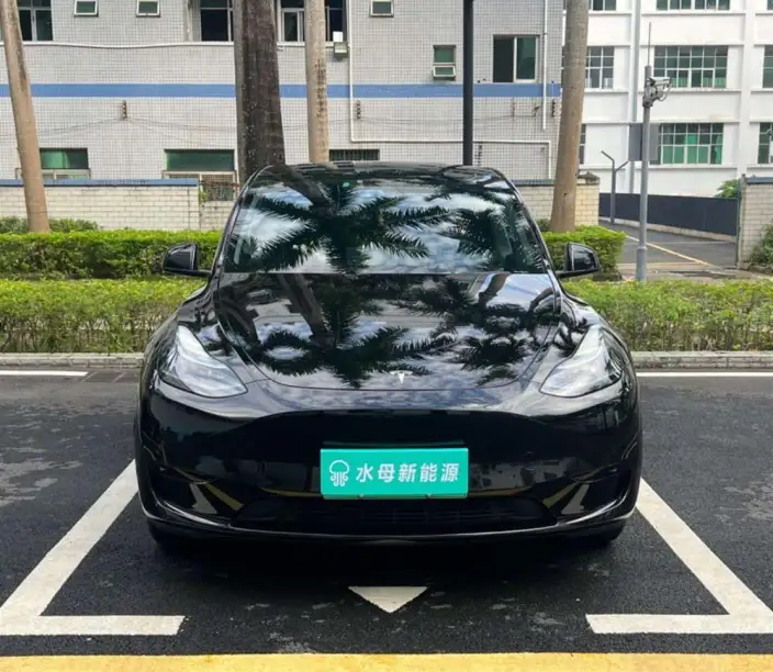 Model Y 2024 Model Rear-wheel drive version – фото 2