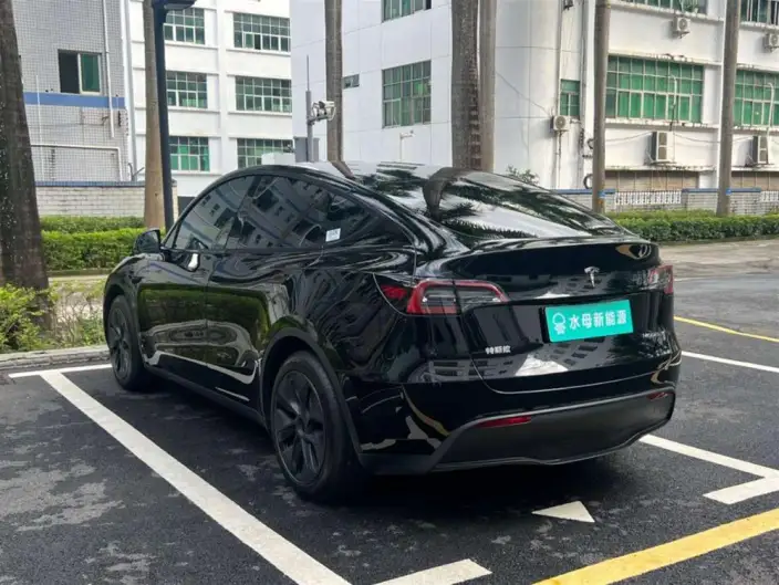 Model Y 2024 Model Rear-wheel drive version – фото 4