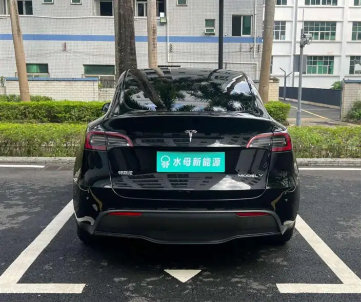 Model Y 2024 Model Rear-wheel drive version – фото 5