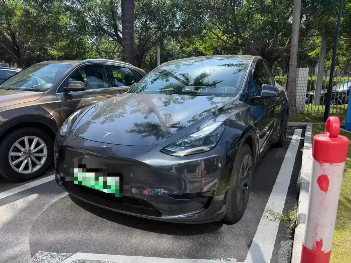 Model Y 2024 Model Rear-wheel drive version – фото 1