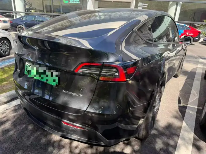 Model Y 2024 Model Rear-wheel drive version – фото 2