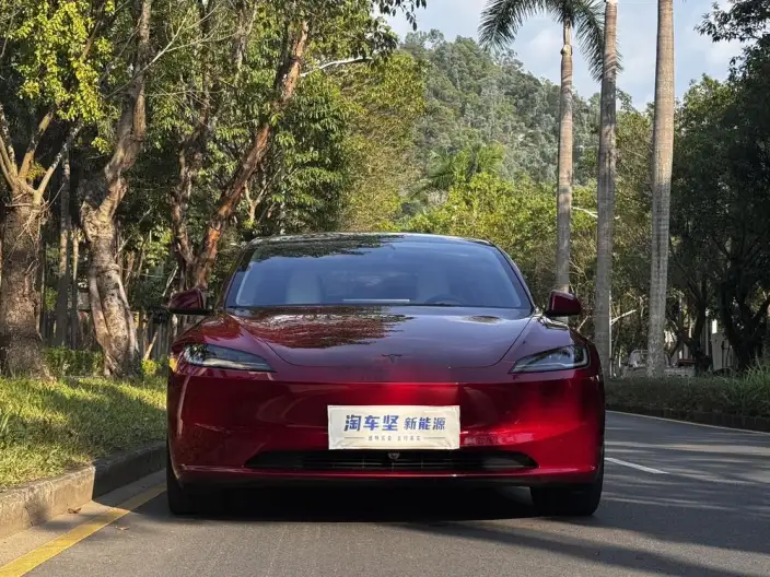 Model 3 2025 Model Long Battery Life Pro All-wheel drive version – фото 2
