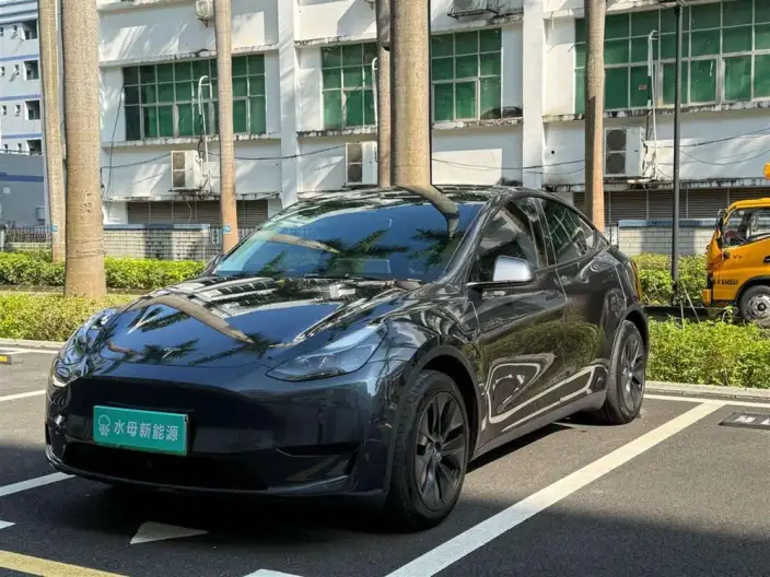 Model Y 2024 Model Rear-wheel drive version – фото 1