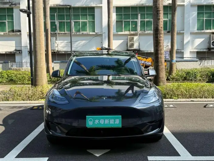Model Y 2024 Model Rear-wheel drive version – фото 2