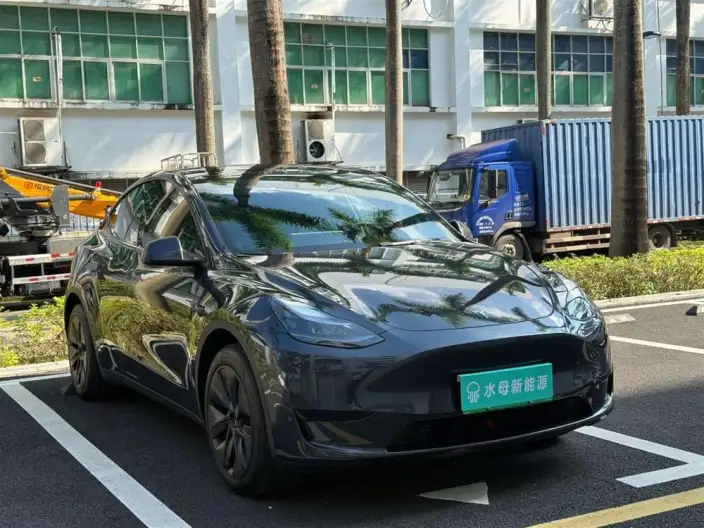 Model Y 2024 Model Rear-wheel drive version – фото 3