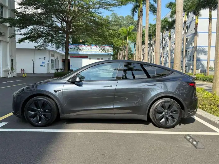 Model Y 2024 Model Rear-wheel drive version – фото 4