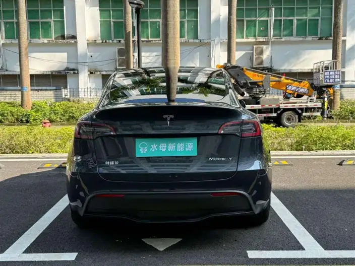 Model Y 2024 Model Rear-wheel drive version – фото 6