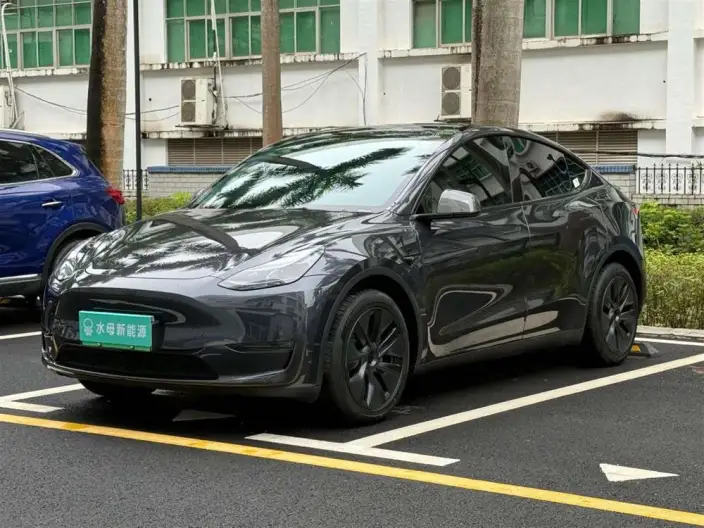 Model Y 2024 Model Long Battery Life Pro All-wheel drive version – фото 1