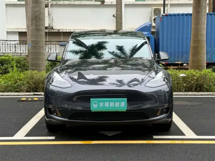 Model Y 2024 Model Long Battery Life Pro All-wheel drive version – фото 2