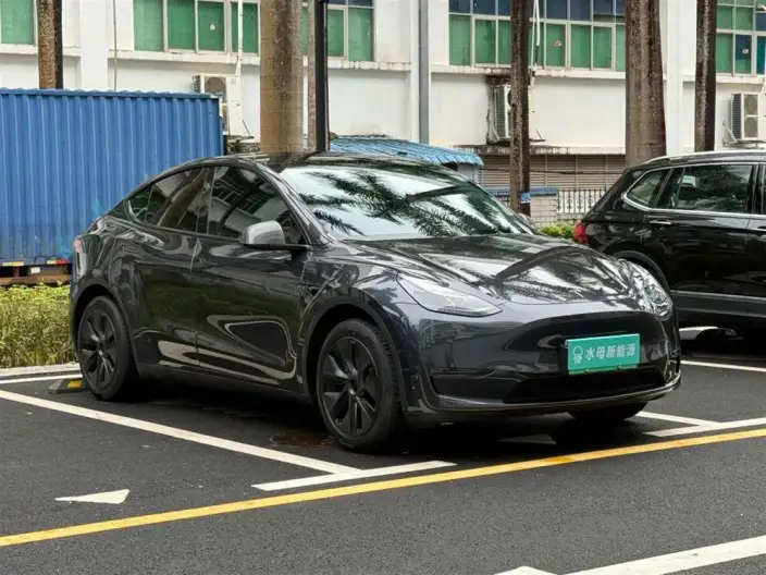 Model Y 2024 Model Long Battery Life Pro All-wheel drive version – фото 3