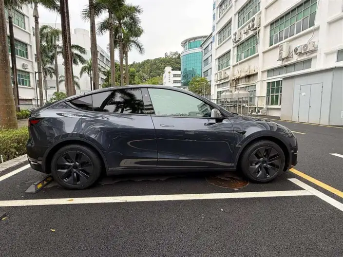 Model Y 2024 Model Long Battery Life Pro All-wheel drive version – фото 7