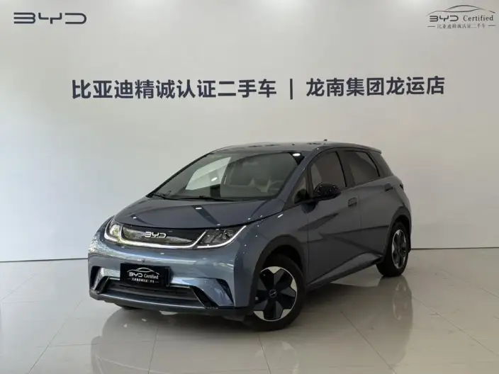 BYD Dolphin 2025 Model 420KM Free Edition
