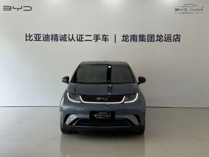 BYD Dolphin 2025 Model 420KM Free Edition