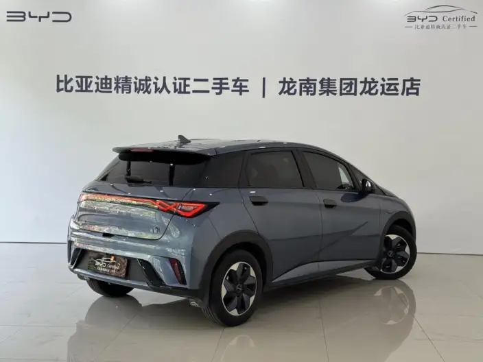 BYD Dolphin 2025 Model 420KM Free Edition