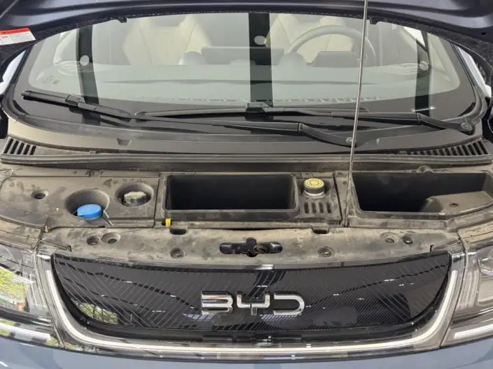 BYD Dolphin 2025 Model 420KM Free Edition – фото 6