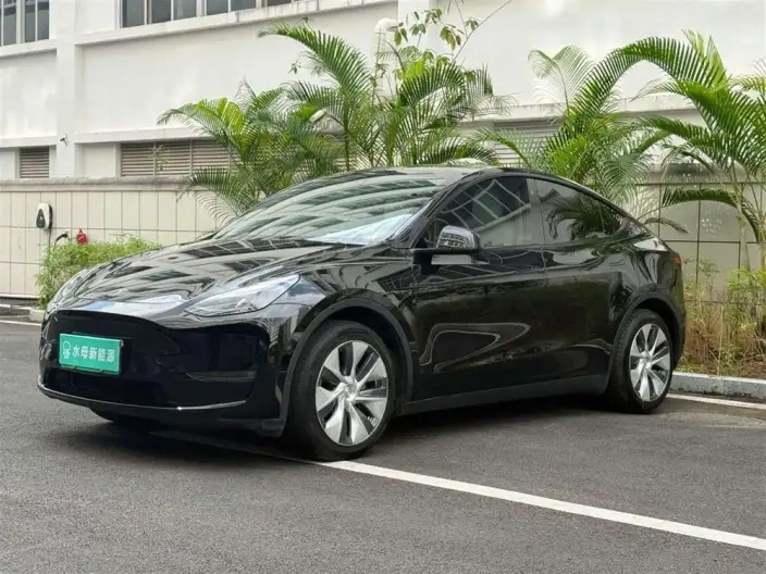 Model Y 2022 Model Facelift Long Battery Life Pro All-wheel drive version – фото 1