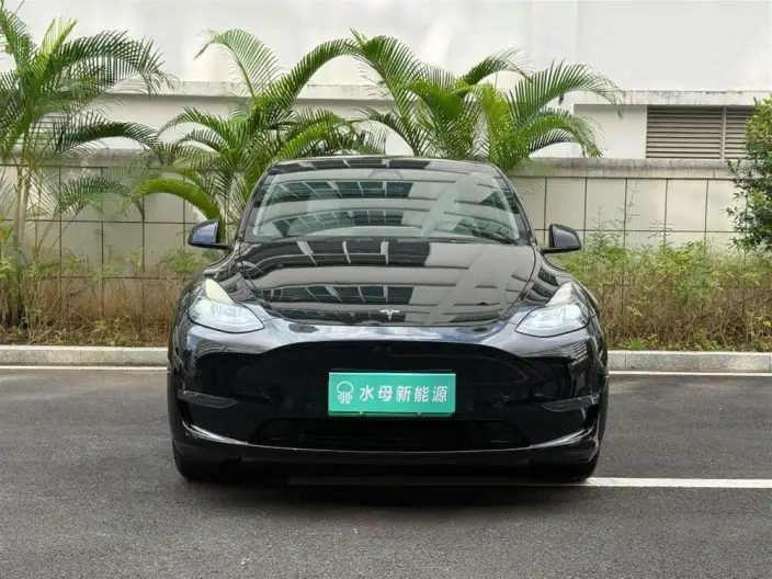 Model Y 2022 Model Facelift Long Battery Life Pro All-wheel drive version – фото 2