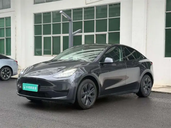 Model Y 2024 Model Rear-wheel drive version – фото 1