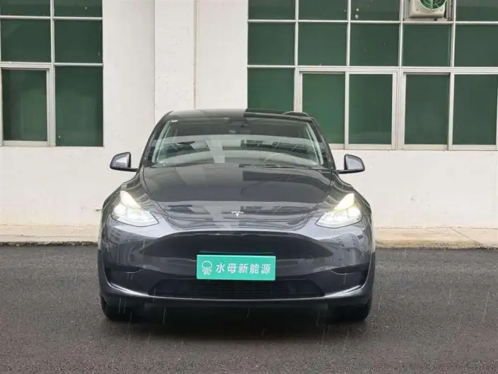 Model Y 2024 Model Rear-wheel drive version – фото 2
