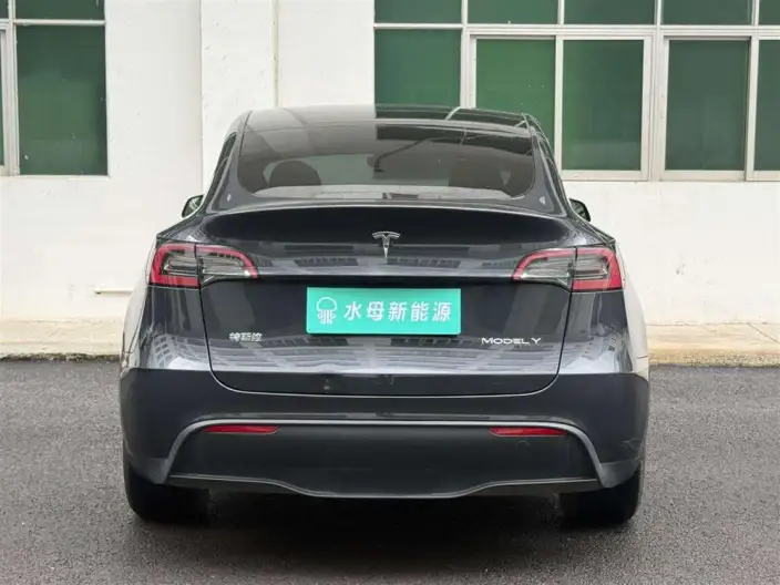 Model Y 2024 Model Rear-wheel drive version – фото 5