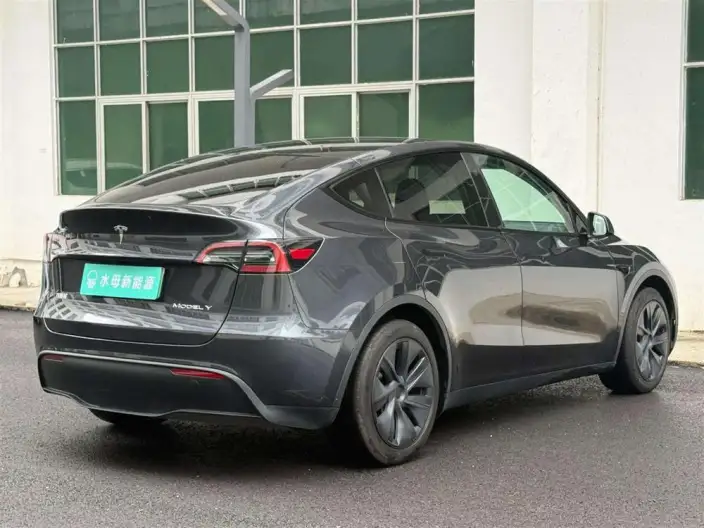 Model Y 2024 Model Rear-wheel drive version – фото 6