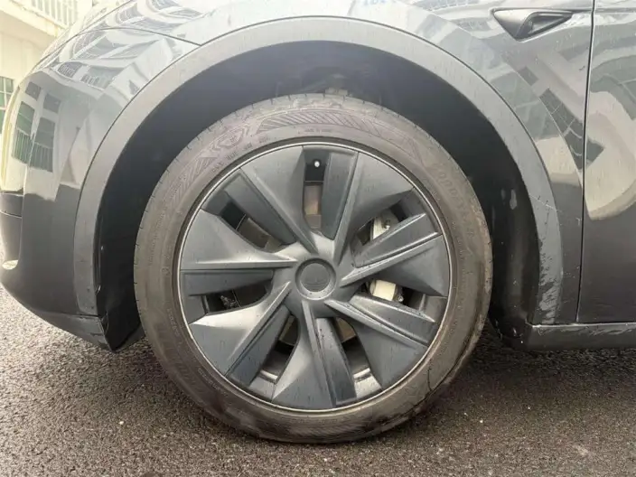 Model Y 2024 Model Rear-wheel drive version – фото 8