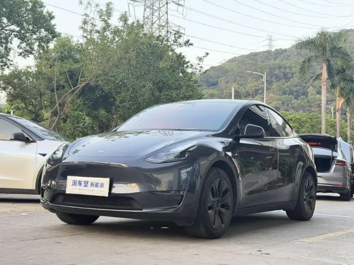 Model Y 2024 Model Long Battery Life Pro All-wheel drive version – фото 1