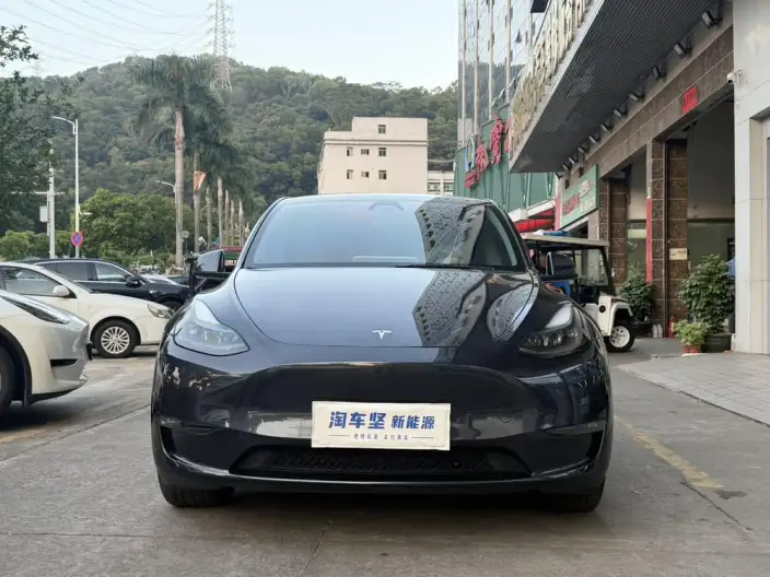 Model Y 2024 Model Long Battery Life Pro All-wheel drive version – фото 2