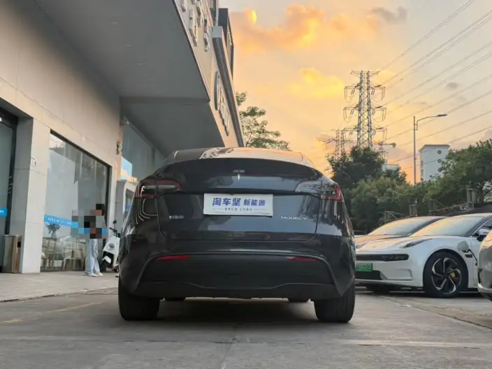 Model Y 2024 Model Long Battery Life Pro All-wheel drive version – фото 4