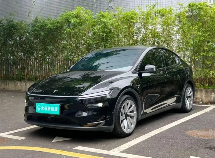 Model Y 2026 Model Rear-wheel drive version – фото 1