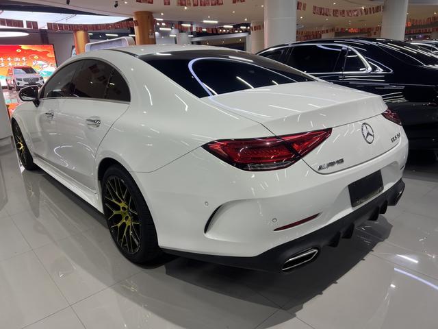 Mercedes-Benz CLS Модель 2018 года CLS 300 Luxury – фото 12