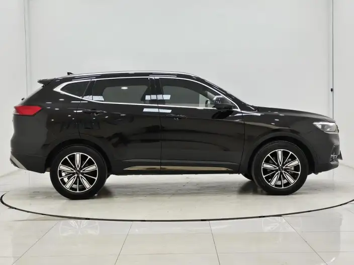 Haval H6 2023 Model Guo Trendy Edition 1.5T Automatic Champion Edition – фото 8