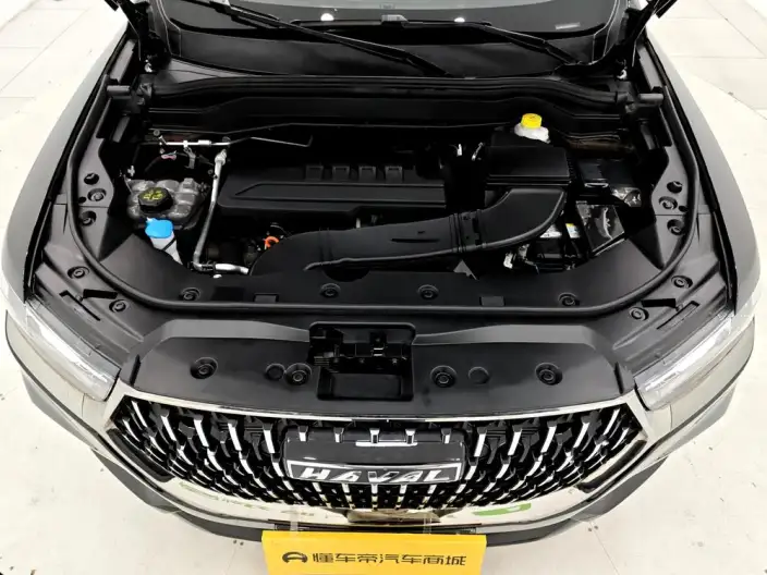 Haval H6 2023 Model Guo Trendy Edition 1.5T Automatic Champion Edition – фото 10