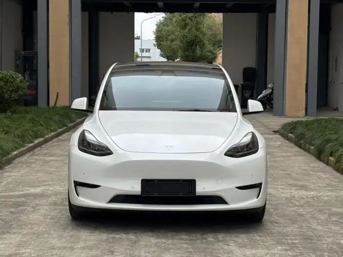 Model Y 2022 Model Performance High performance All-wheel drive version – фото 2