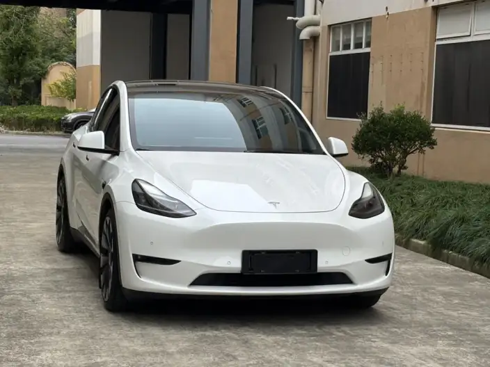 Model Y 2022 Model Performance High performance All-wheel drive version – фото 3