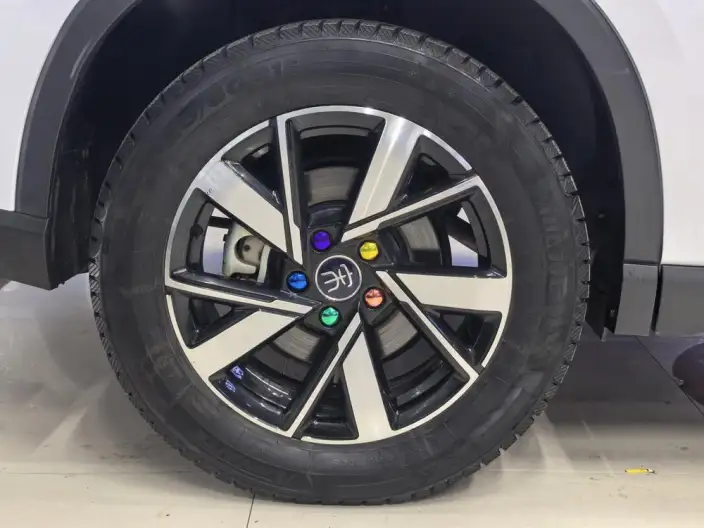 BYD Song Pro DM 2023 Model DM-i Champion Edition 71km Leading Model – фото 7