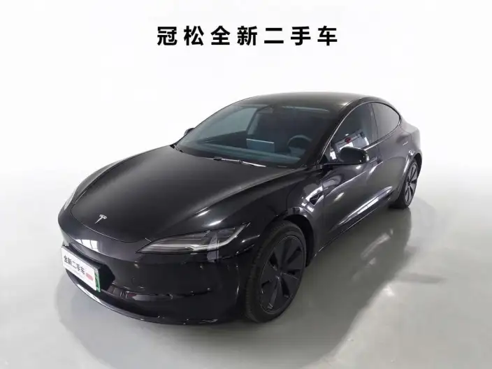 Model 3 2023 Model Long Battery Life Pro All-wheel drive version – фото 1