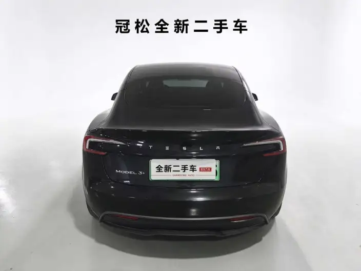 Model 3 2023 Model Long Battery Life Pro All-wheel drive version – фото 4