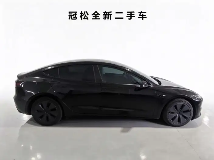 Model 3 2023 Model Long Battery Life Pro All-wheel drive version – фото 5