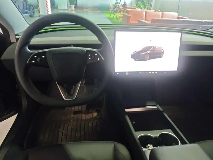 Model 3 2023 Model Long Battery Life Pro All-wheel drive version – фото 10