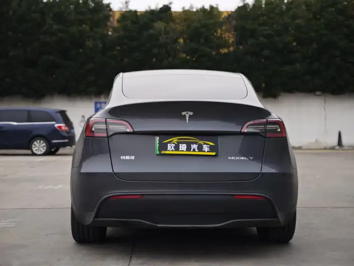 Model Y 2022 Model Rear-wheel drive version – фото 5
