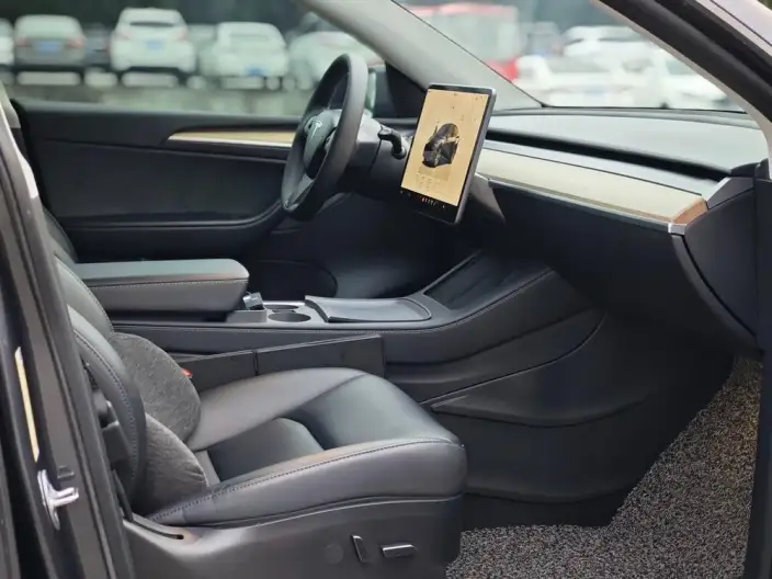 Model Y 2022 Model Rear-wheel drive version – фото 7