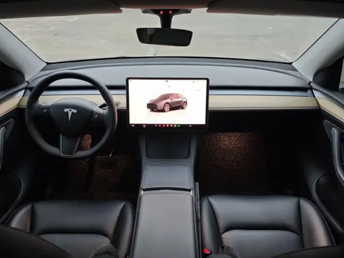 Model Y 2022 Model Rear-wheel drive version – фото 9