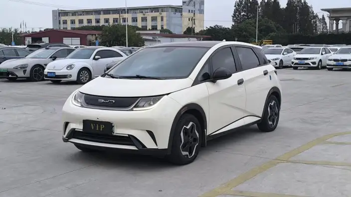 BYD Dolphin 2021 Model Fashion Edition