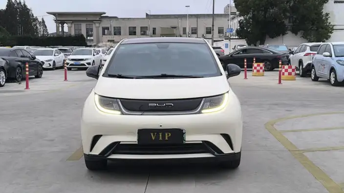 BYD Dolphin 2021 Model Fashion Edition