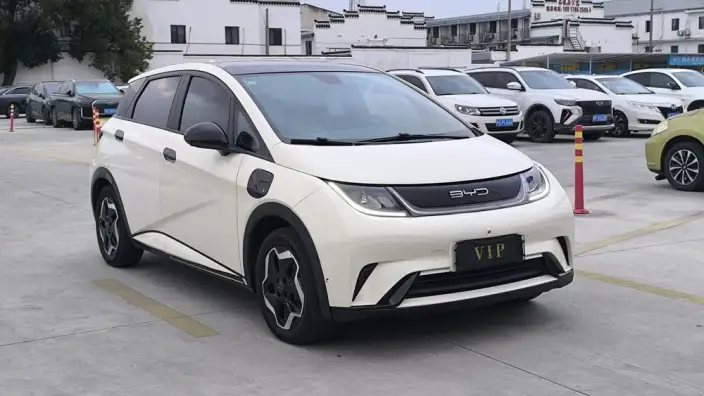 BYD Dolphin 2021 Model Fashion Edition